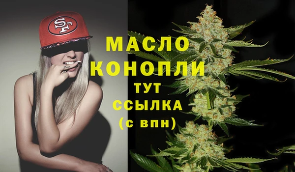 сатива Армянск