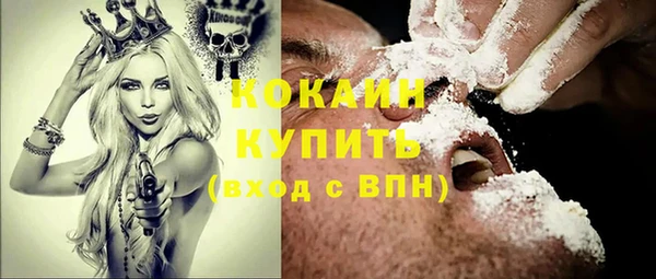 сатива Армянск