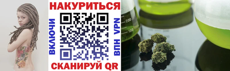 Конопля сатива  Луза 